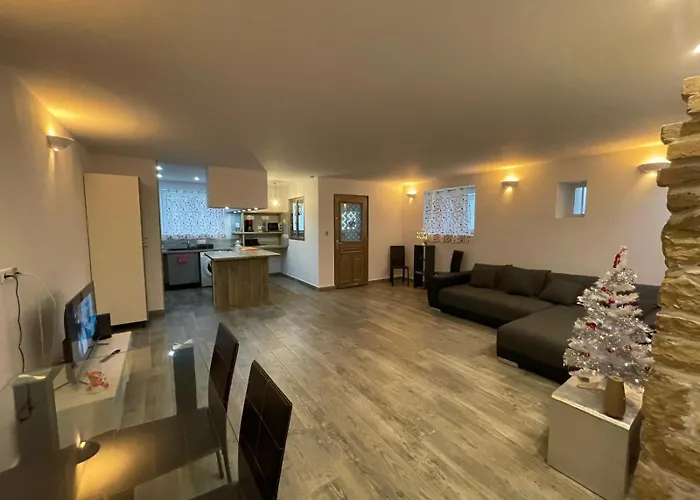 Apartment Proche Centre Parking Public Gratuit Colmar